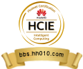 HCIE-Intelligent Computing